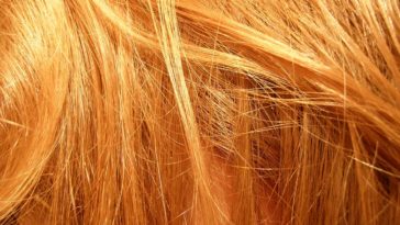 Quanti capelli abbiamo