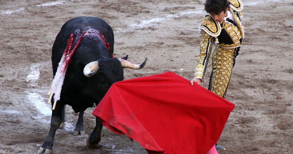 Perche I Tori Odiano Il Rosso
