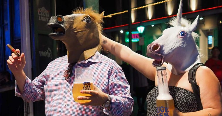 Cavalli a tutta birra