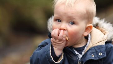 Bambino mangia cibo caduto per terra entro cinque secondi