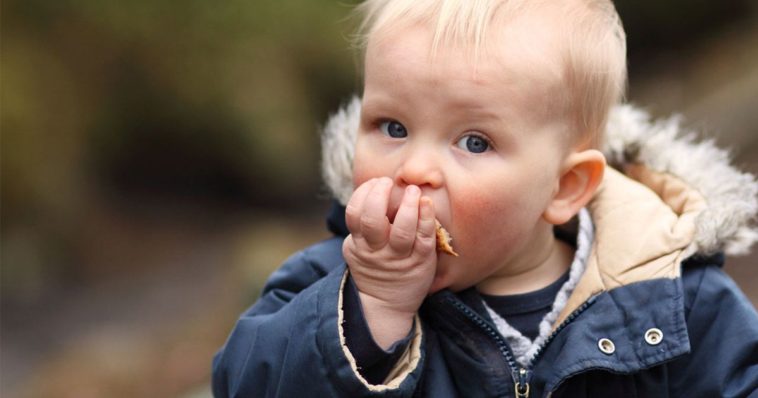 Bambino mangia cibo caduto per terra entro cinque secondi