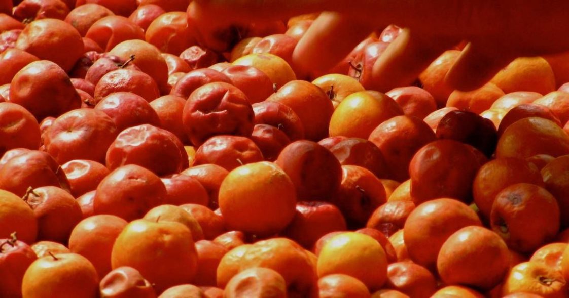 Perchè Si Dice Brodo Di Giuggiole