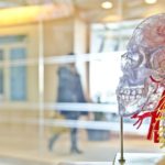 testa trasparente scienza