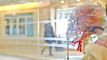 testa trasparente scienza