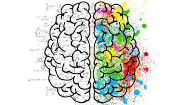 I due emisferi del cervello