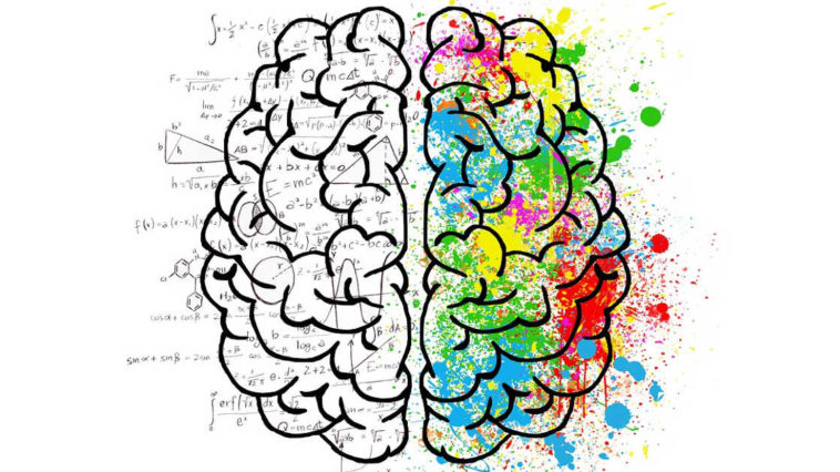 I due emisferi del cervello