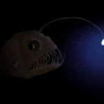 Un pesce abissale che manifesta la bioluminescenza.