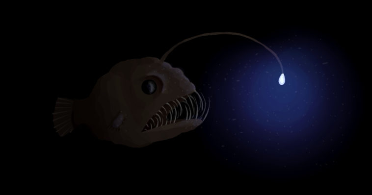 Un pesce abissale che manifesta la bioluminescenza.