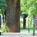 Due signore al parco parlano ma un silenzio troppo lungo creerebbe imbarazzo