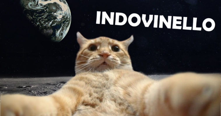 Orecchini Luna Di Halloween – Gatto Sulla Luna E Stelle – Pendenti In Acrilico – Gioielli Tema Donna