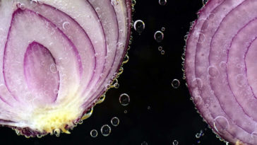 Una cipolla divisa in due parti.