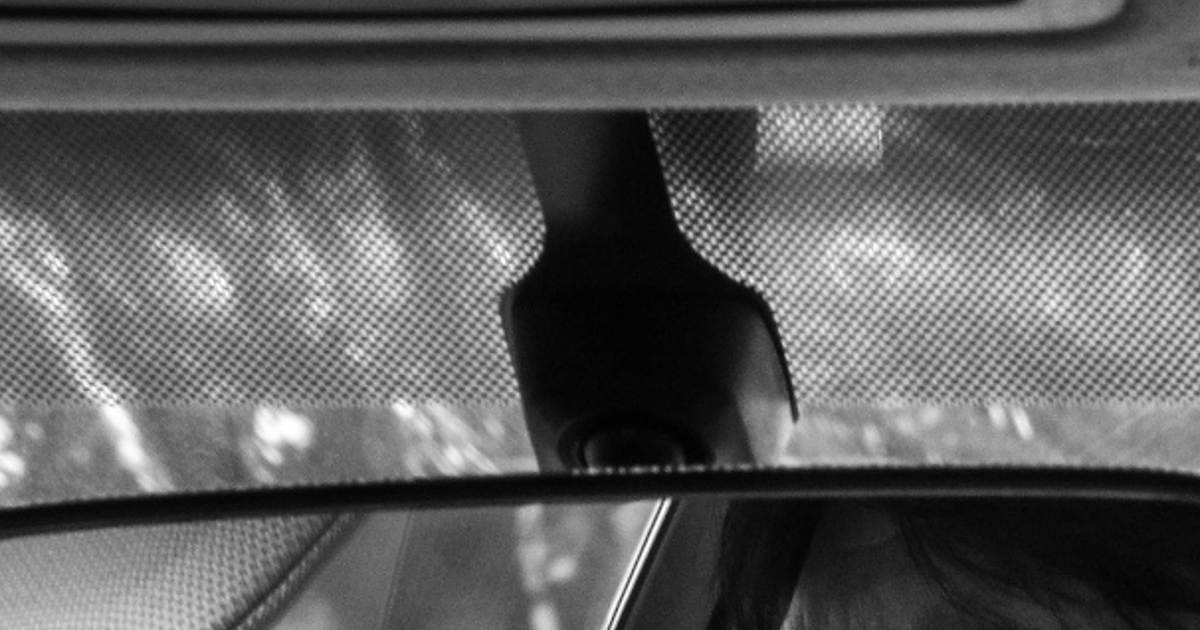 Immagine dei puntini neri sul parabrezza.