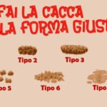 Scala Boston feci forma cacca