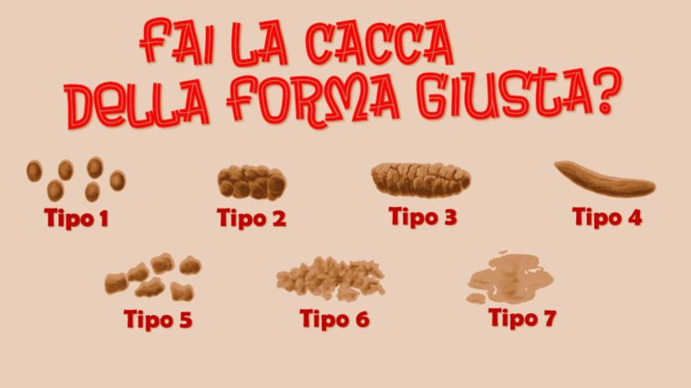 Scala Boston feci forma cacca