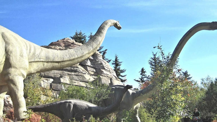 Dinosauri in un parco