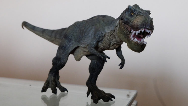 Un dinosauro carnivoro