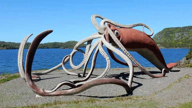 Una raffigurazione 3d di un calamaro gigante