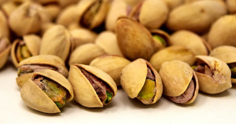 Pistacchi, frutta secca, dove cresce