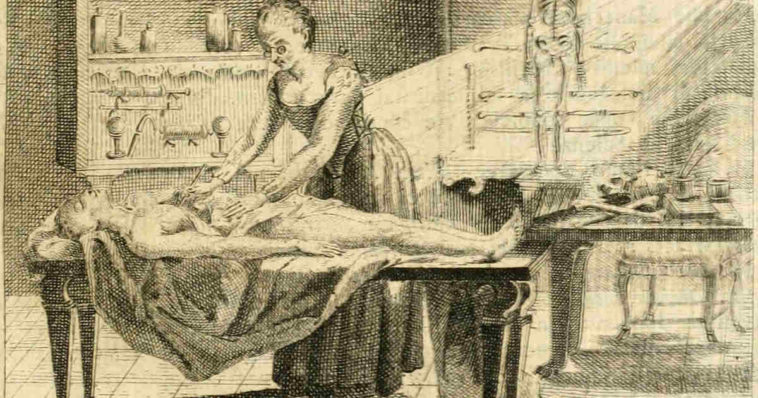 disegno antico sezione cadaveri che diventano neri