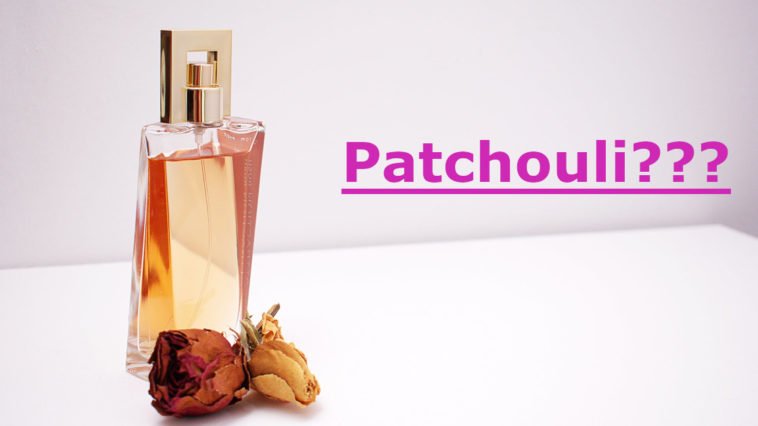 patchouli, profumo, aroma