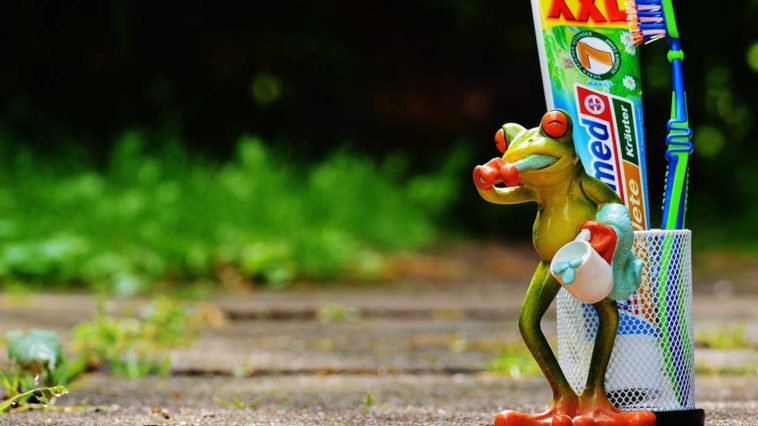 Una rana si lava i denti con del dentifricio