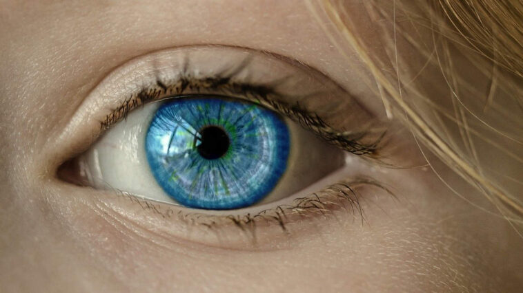 Occhio azzurro di una donna